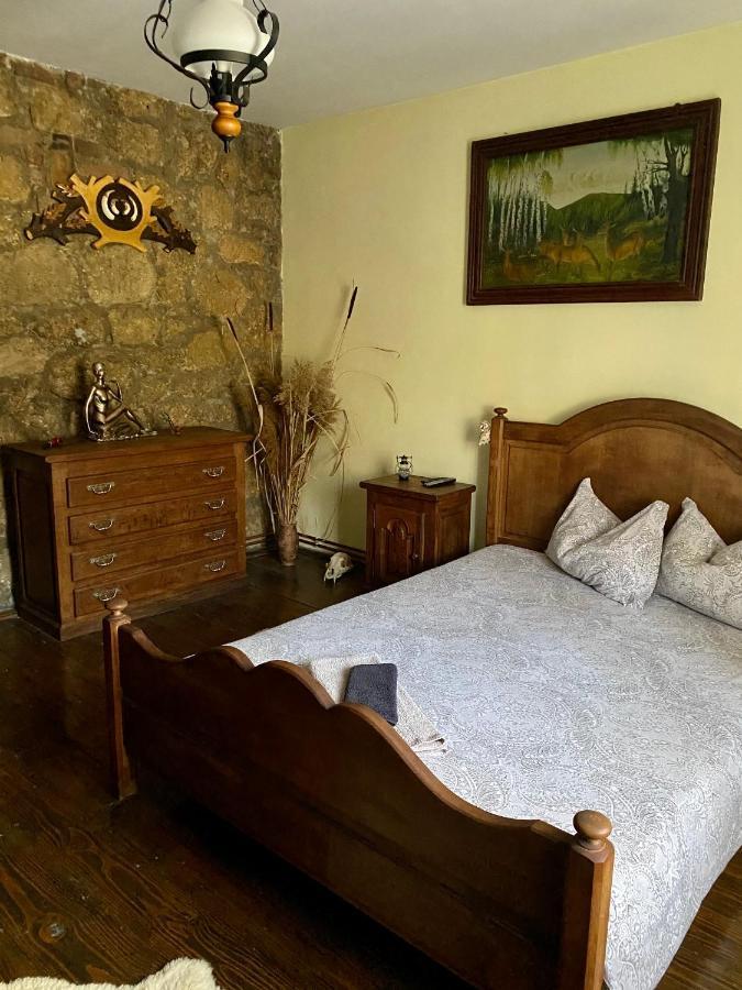 הוילה Ciudanovita The Hunter House מראה חיצוני תמונה