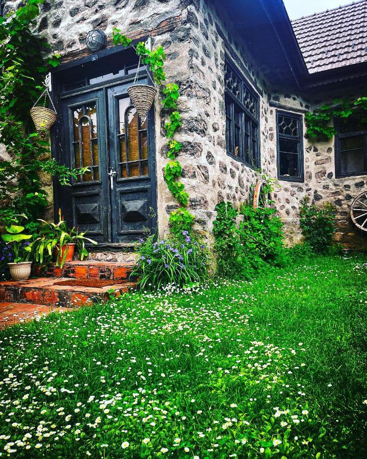 הוילה Ciudanovita The Hunter House מראה חיצוני תמונה